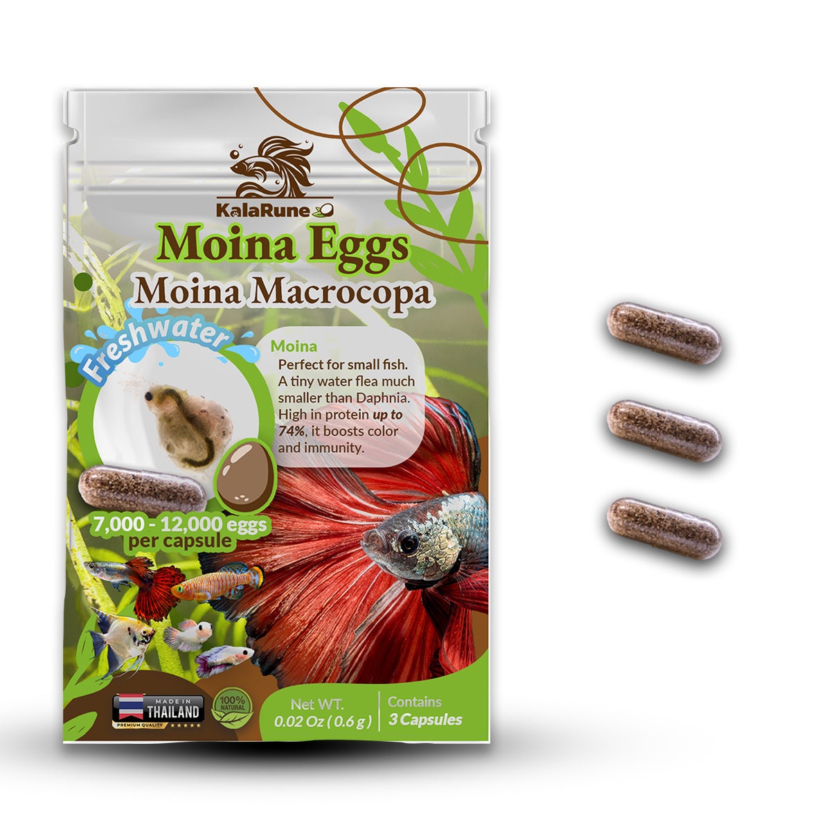 Moina macrocopa Eggs