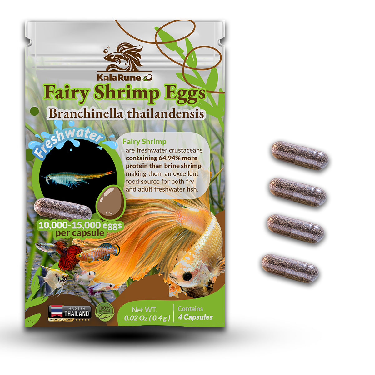Fairy Shrimp Eggs