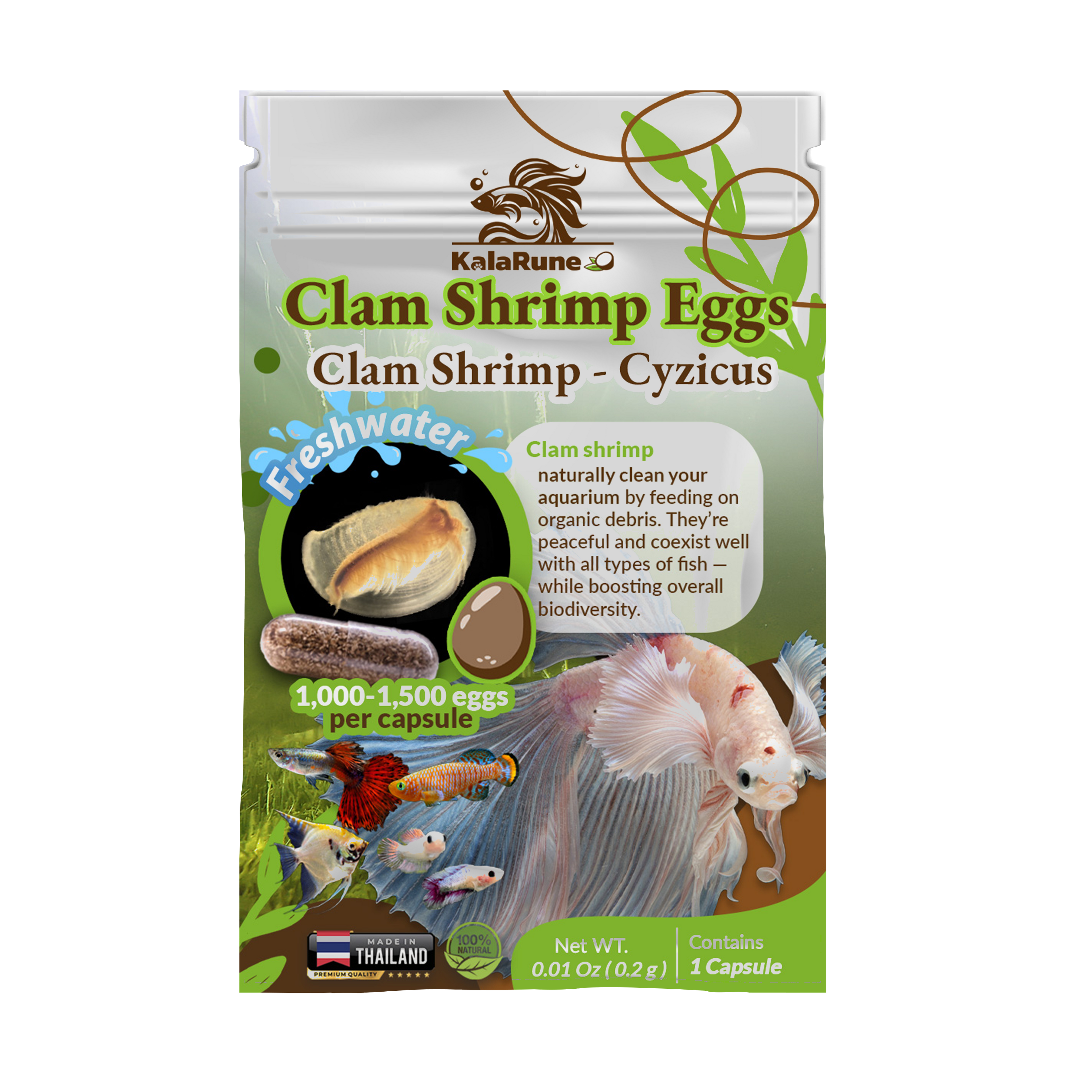 Clam Shrimp Eggs